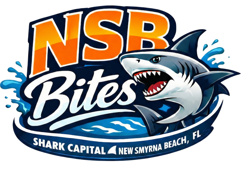 NSB Bites - Shark Capital